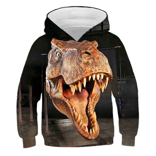 picture color_bluzy-z-kapturem-dinosaur-2022-chlopcy-f_variants-2.jpg