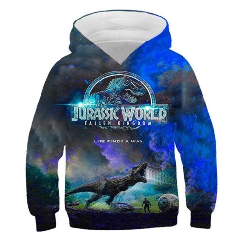 picture color_bluzy-z-kapturem-dinosaur-2022-chlopcy-f_variants-3.jpg
