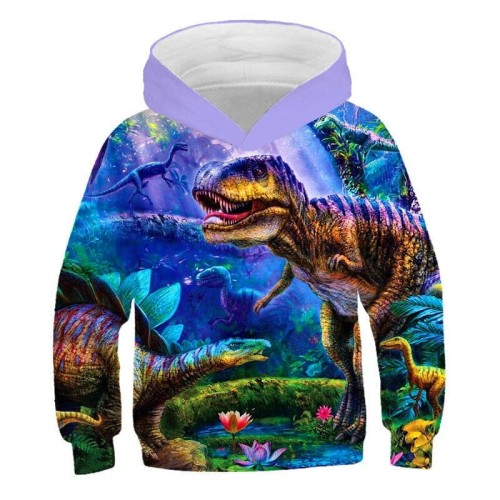 picture color_bluzy-z-kapturem-dinosaur-2022-chlopcy-f_variants-16.jpg