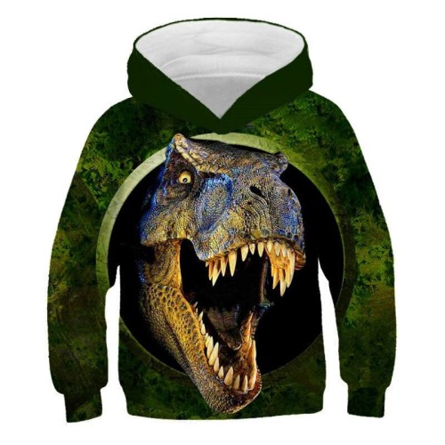 picture color_bluzy-z-kapturem-dinosaur-2022-chlopcy-f_variants-15.jpg