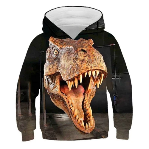 picture color_bluzy-z-kapturem-dinosaur-2022-chlopcy-f_variants-2.jpg