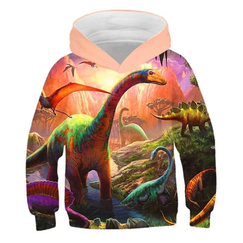picture color_bluzy-z-kapturem-dinosaur-2022-chlopcy-f_variants-13.jpg
