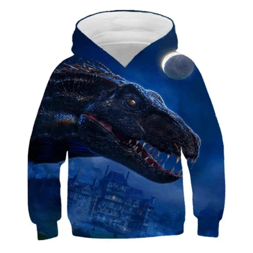 picture color_bluzy-z-kapturem-dinosaur-2022-chlopcy-f_variants-4.jpg